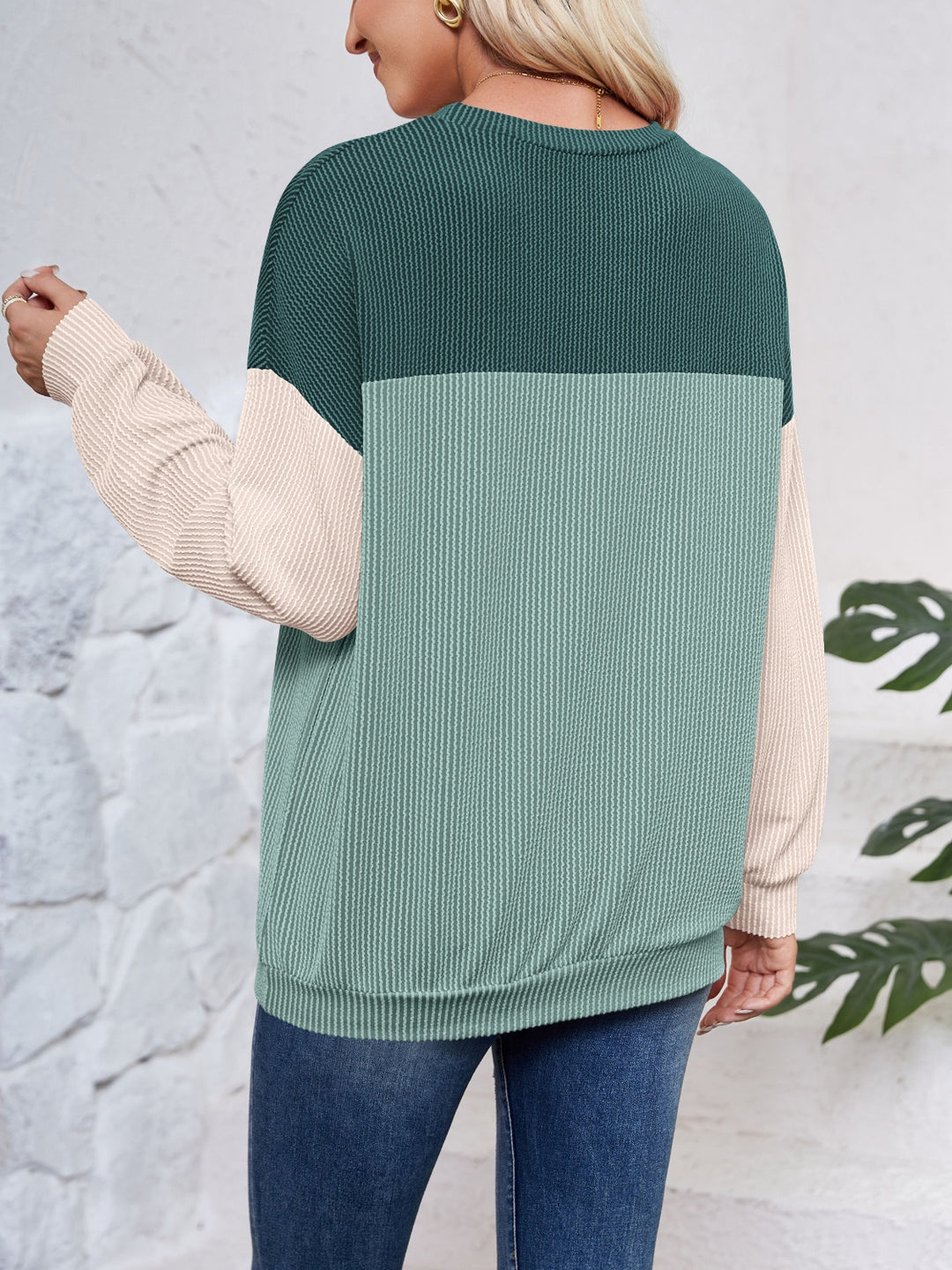 Color Block Round Neck Long Sleeve Sweatshirt