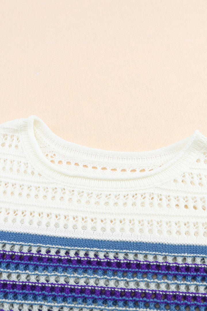 Leopard Striped Round Neck Crochet Knit Top